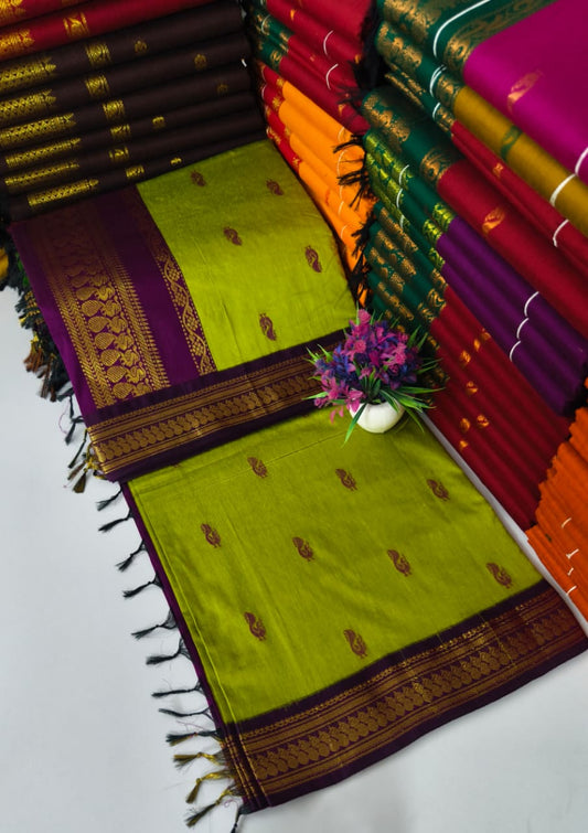 Kalyani Cotton – Parrot Green with Purple border & pallu – Gold Zari – Korvai Border