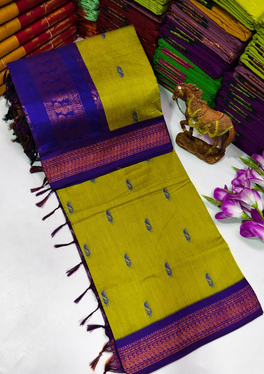 Kalyani Cotton – Parrot Green with Royal Purple border & pallu – Gold Zari – Korvai Border